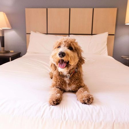 Sonesta Simply Suites Phoenix Glendale Extérieur photo